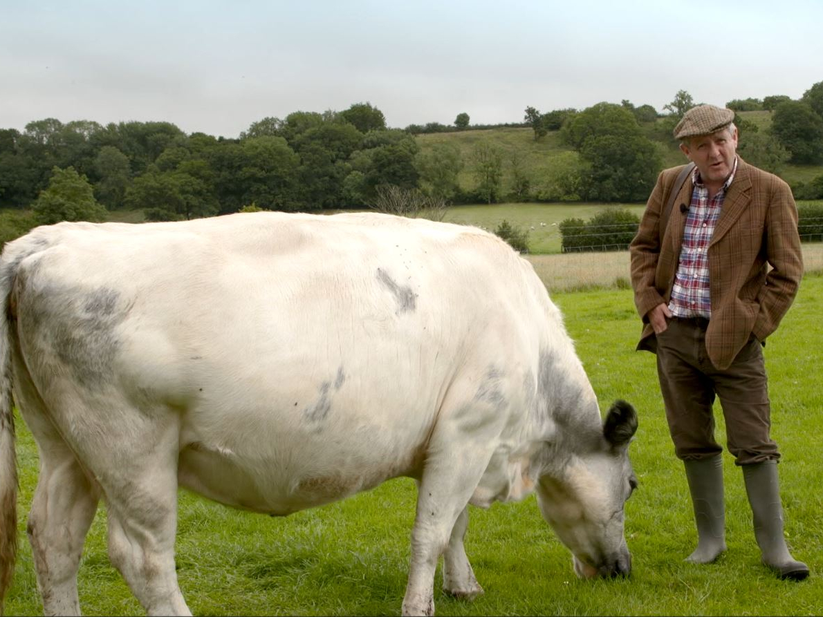 Farmer Jack and his cow